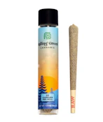 Rolling Green - Tangerine Dream - 31.65% THC - 1g - Pre Roll