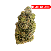 RG $19 Pink Runtz (H) 1/8th