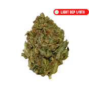 RG $19 Sunset Sherbet (I)(H) 1/8th