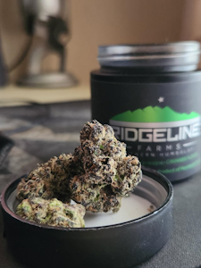 RIDGELINE FARMS - HUCKLEBERRY HILL | COUNTRY ROSE | FLOWER | 7G