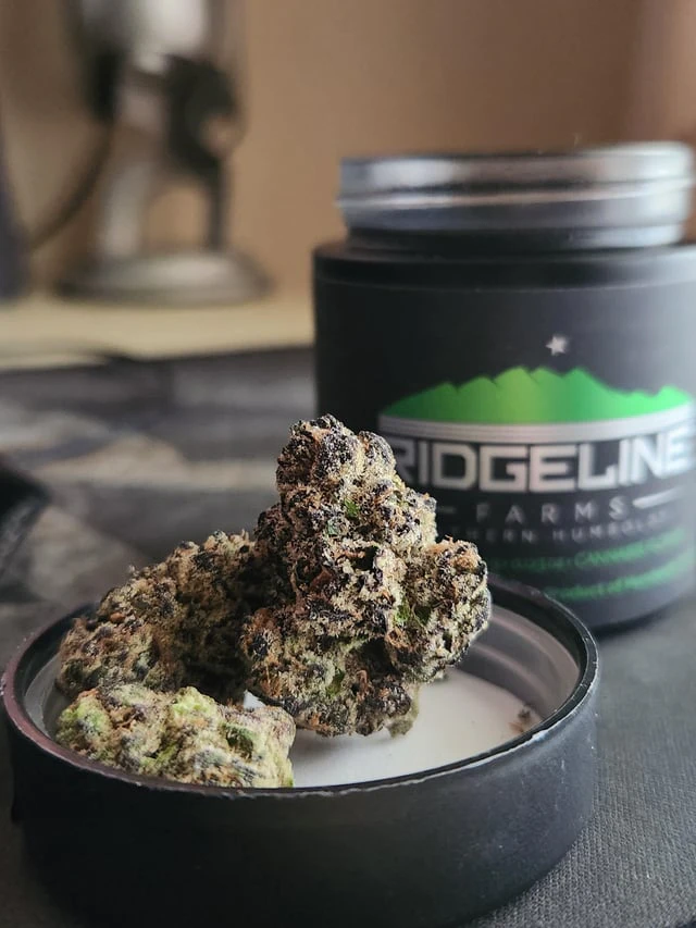 RIDGELINE FARMS - HUCKLEBERRY HILL | COUNTRY ROSE | FLOWER | 7G Main Image