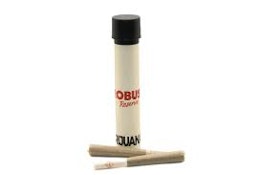 ROBUST - APPLES & BANANAS INFUSED 2pk 0.5 GRAM PRE-ROLL