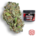 Rollinia Flower | Eighth Special