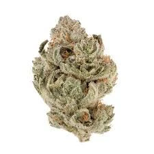 Flo - RON BURGANDY 1/8oz Main Image