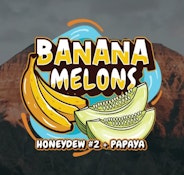Banana Melons Rosin Drops - 500mg - Treeworks