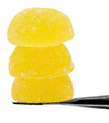 ROSIN TECH LABS - Edible - Tropi Tangie - Mega Gummies - 2PK - 100MG