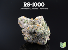 RS-1000- 2.83 grams