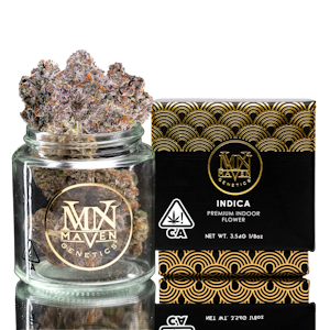MAVEN GENETICS - Maven Genetics | Indoor | RS-X | 3.5g