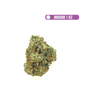 RG $99 Rainbow Sherbert #11 (H) 1oz (INDOOR)