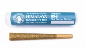 HIMALAYA - Himalaya 1g RS-11 Infused Preroll Main Image