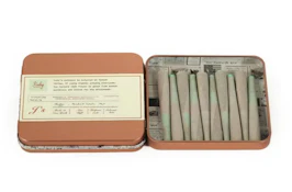 PLATINUM GSC 10 PK HASH INFUSED PREROLLS - RUBY FARMS - 5g