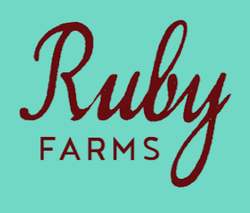 RUBY FARMS - PURPLE VOODOO HASH INFUSED 10PK PREROLLS - RUBY FARMS - 5g
