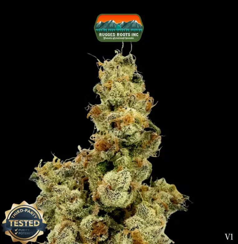 Rugged Roots - Rugged Roots | Melted Strawberries | 3.5G Main Image
