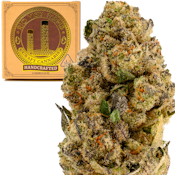 Glitter Bomb 3.5g Jar - Rio Vista Farms