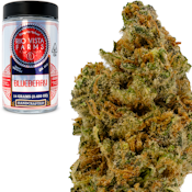 Blueberry 14g Jar - Rio VIsta Farms