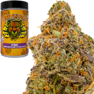 RIO VISTA FARMS - Cheetah Piss 14g Jar - Rio Vista Farms