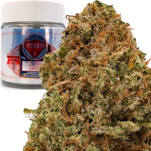 Rio Vista Farms - Brand - Citrus Sage 3.5g Jar - Rio Vista Farms