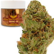 Davinci OG 3.5g Jar - Rio Vista Farms