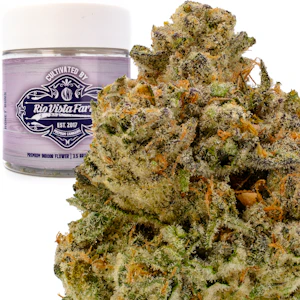 RIO VISTA FARMS - Honey Buns 3.5g Jar - Rio Vista Farms