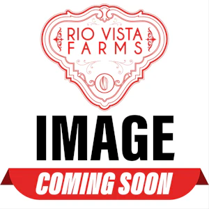 Rio Vista Farms - Brand - Rainbow Beltz 7g Smalls Bag - Rio Vista Farms