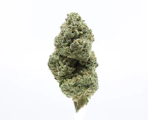 Rainbow Belts - 3.5g (H) - UpNorth