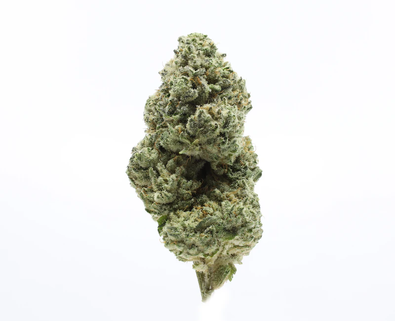 UpNorth - Rainbow Belts - 3.5g (H) - UpNorth Main Image