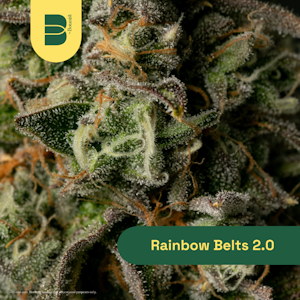 THE BOTANIST - The Botanist | 14g Flower | Rainbow Belts 2.0 | 14g