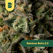 The Botanist | Flower | Rainbow Belts 2.0 | 3.5g