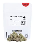 Lolo Rainbow Guava BUDS 1/8 26%
