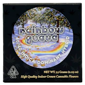 Team Elite Genetics - Rainbow Guava - Flower - 3.5g