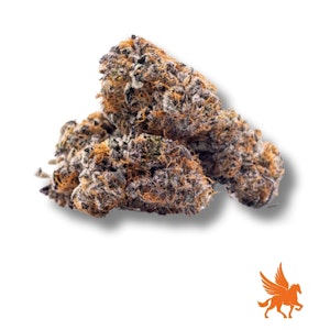 Pegasus Green - Rainbow Rocket