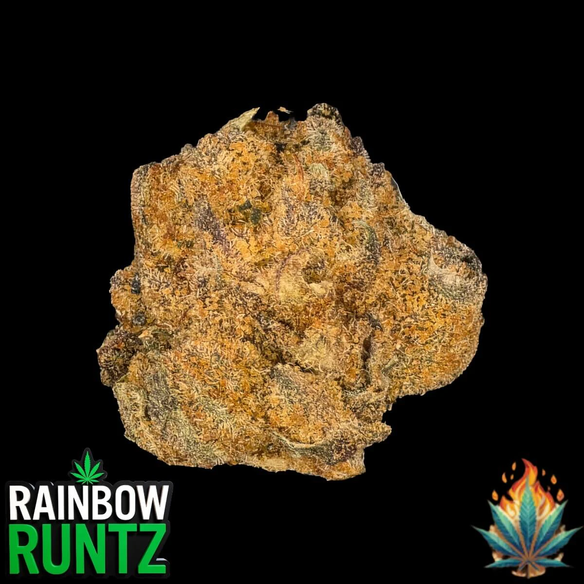 Native Fire - Native Fire 3.5g- Rainbow Runtz Main Image