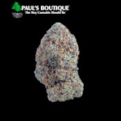 Paul's Boutique | Rainbow Sherbert-11 | 3.5g [I]