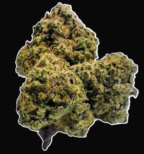 GOOD NATURE CANNABIS COMPANY - Rainbow Belts - Flower