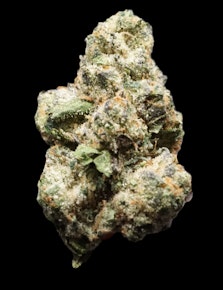 Cookies N Cream Bucked Flower Bulk (Hybrid)