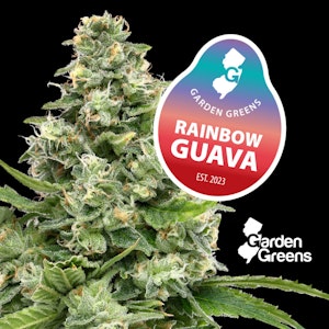 GARDEN GREENS - [REC] Garden Greens | Rainbow Guava | 14g Flower