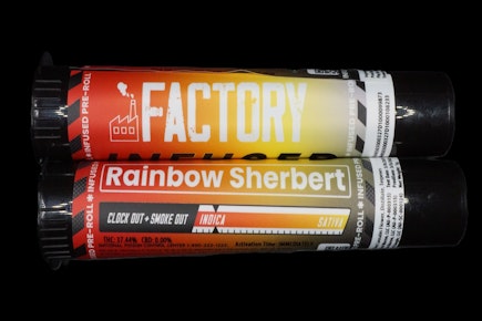 Factory - Rainbow Sherbert - 1 Pack Preroll Case (1g) Infused