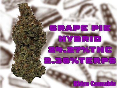 Rhize Cannabis Company - Rhize Cannabis | Grape Pie | I/Hybrid