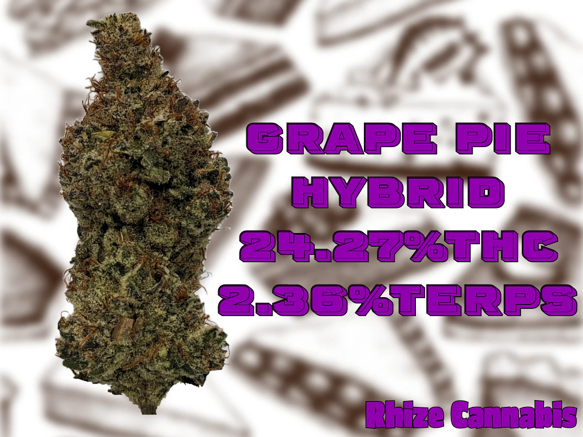 Rhize Cannabis Company - Rhize Cannabis | Grape Pie | I/Hybrid Main Image