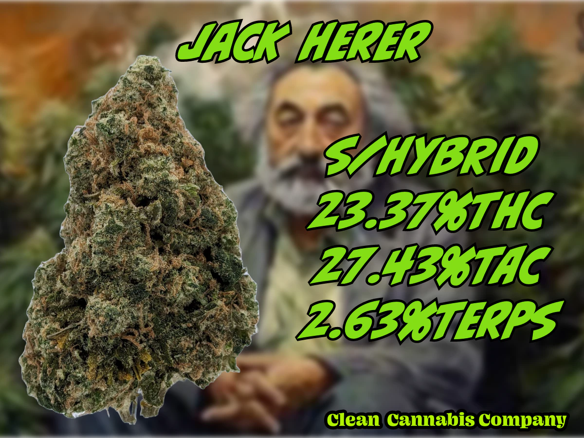 Clean Cannabis - Clean Cannabis | Jack Herer Main Image