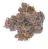 Product Preview Image 2