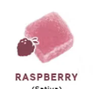 Drops – Raspberry 10 Piece (Calm)