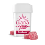 Sour Raspberry 10pk Gummies - 100mg