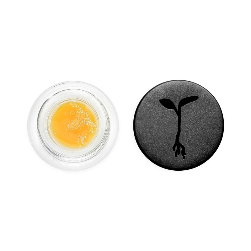 Abracadabra (H) | 1g Live Resin Concentrate | Raw Garden