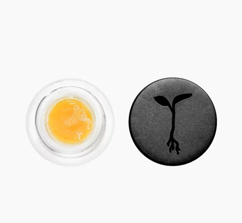 Raw Garden - RAW GARDEN WAX: Sweet Leeroy 1g Live Badder (I) Main Image