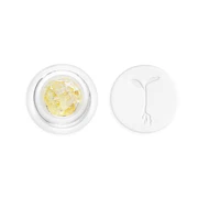 Raw Garden - 1g Diamonds - Ze Chem
