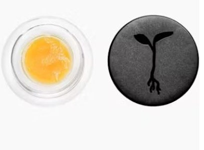 RAW GARDEN - Raw Garden Live Badder 1g Pacific Passion