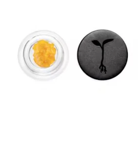 RAW GARDEN - Raw Garden Live Resin 1g Butter Cream