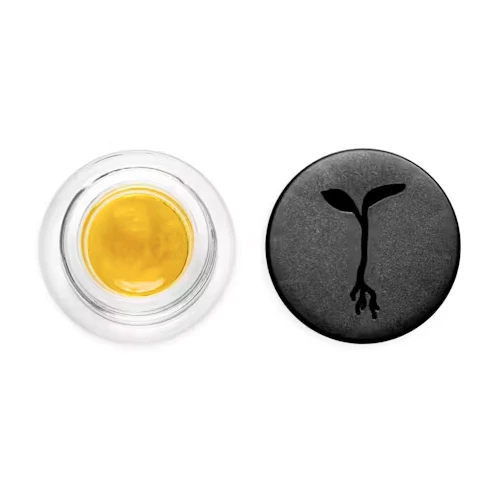 Raw Garden - Raw Garden Live Sauce 1g Jack N Lime Main Image