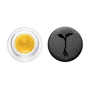 RAW GARDEN - Raw Garden Live Sauce 1g Orange Runtz